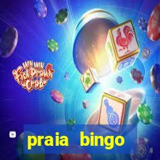 praia bingo dinheiro infinito 2022