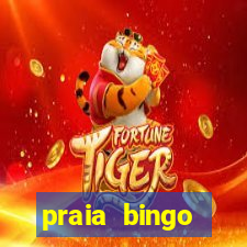 praia bingo dinheiro infinito 2022