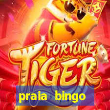 praia bingo dinheiro infinito 2022