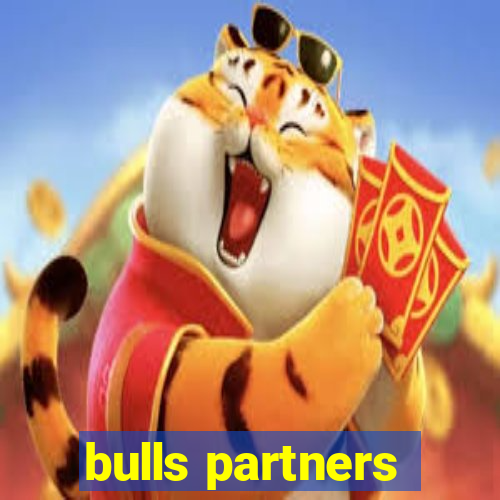 bulls partners