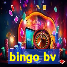 bingo bv