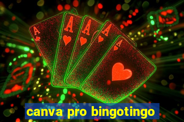 canva pro bingotingo