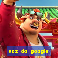 voz do google tradutor homem