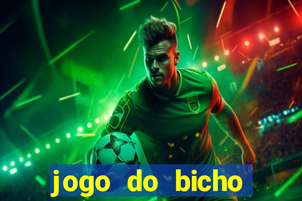 jogo do bicho crash bingo