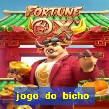 jogo do bicho crash bingo