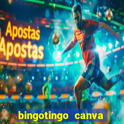 bingotingo canva pro gratis