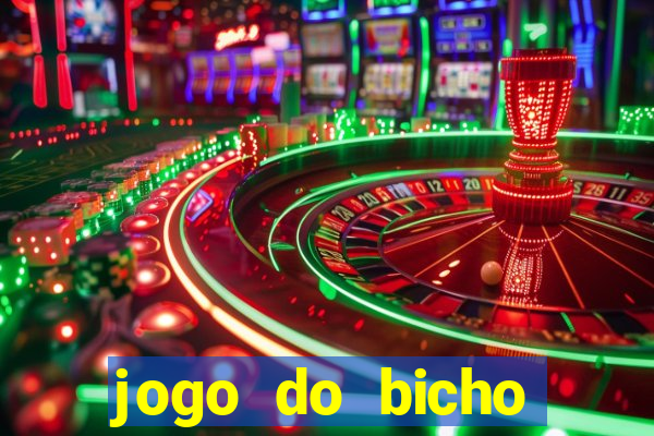 jogo do bicho crash bingo