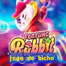 jogo do bicho crash bingo