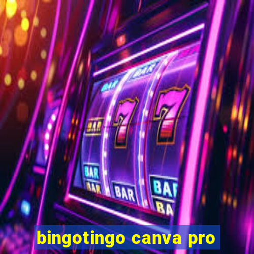 bingotingo canva pro